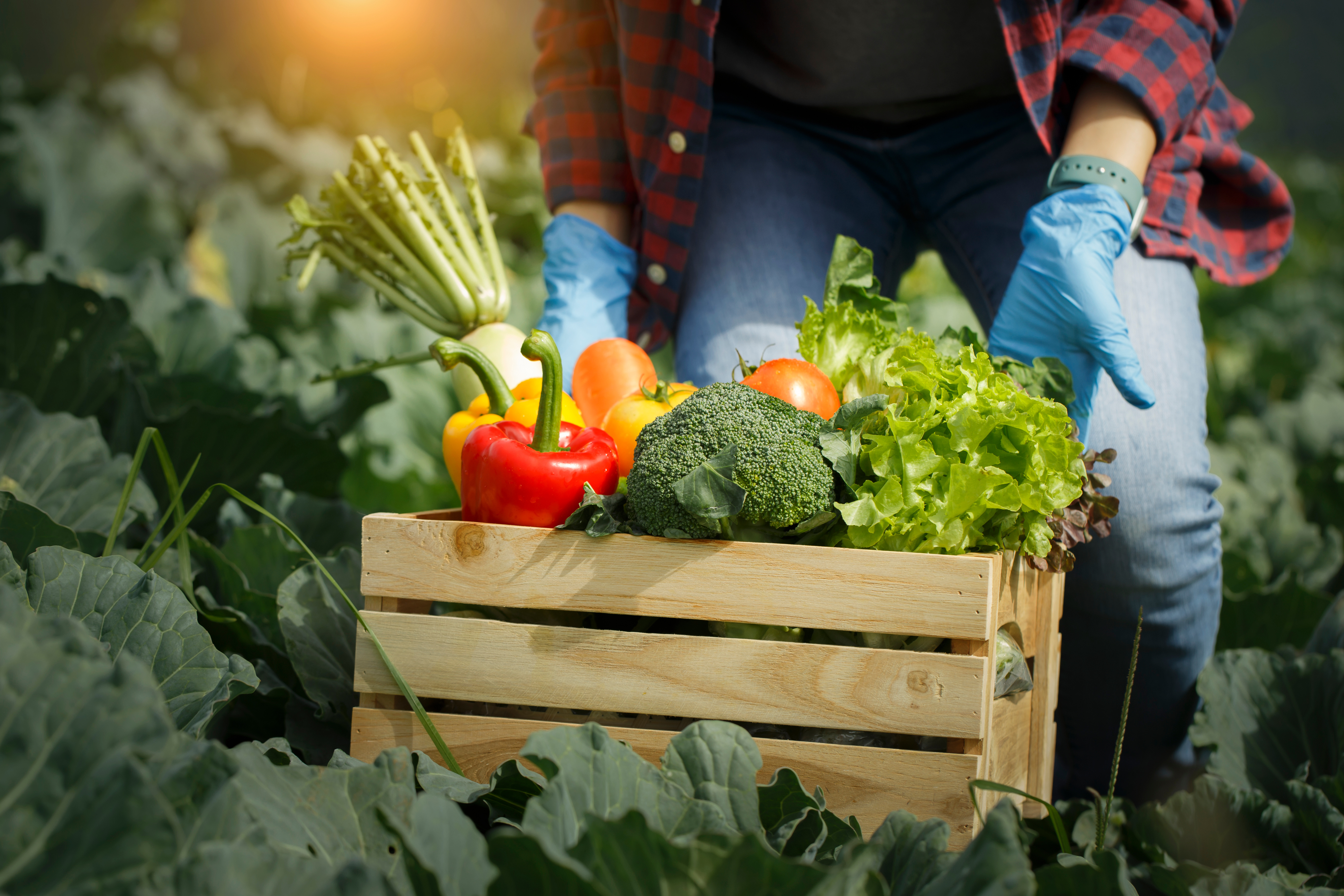 la dieta atlántica variada, fresca y nutritiva