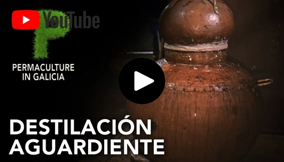 Licores gallegos. Como elaborar orujo gallego