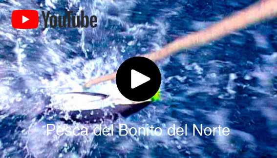 Pesca del Bonito del norte