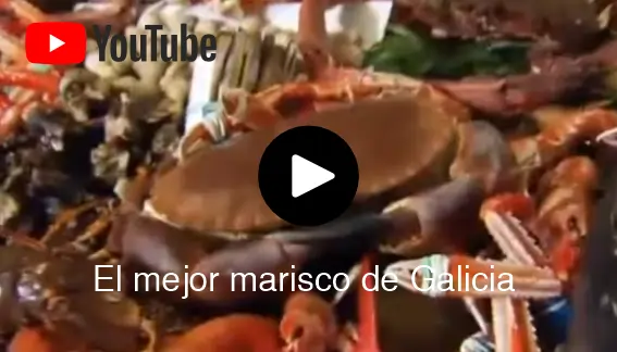 recetas tipicas de galicia en primavera. El mejor marisco del mundo