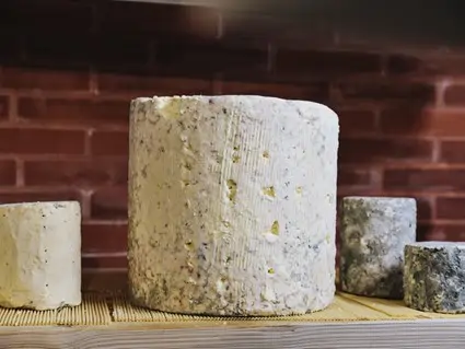 queso Savel Airas Moniz